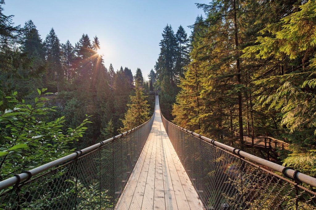 Capilano suspension bridge park vancouver