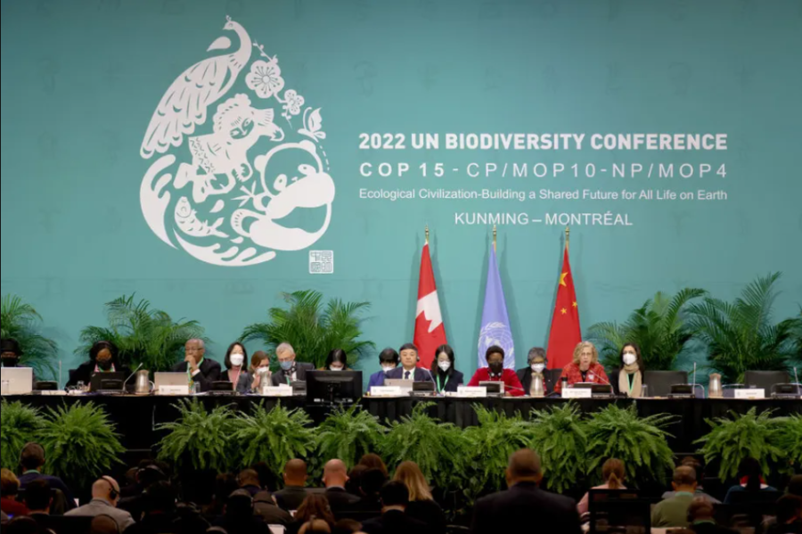 COP15: saiba tudo que aconteceu no evento de Montreal